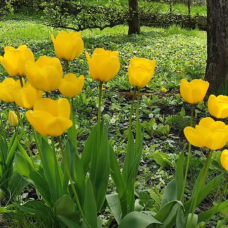 Entre Meuse Et Foret Revin  Ngoại thất bức ảnh