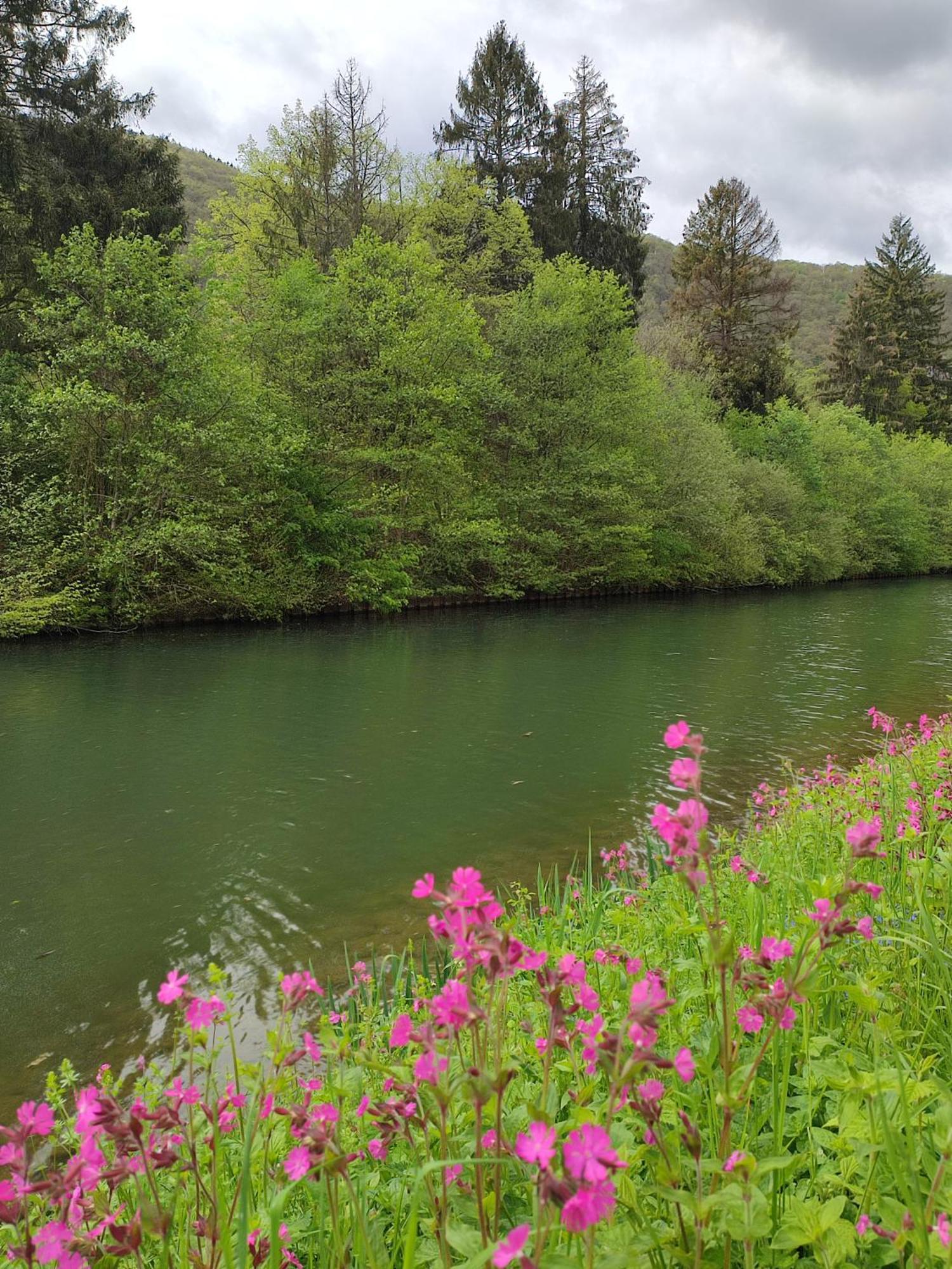Entre Meuse Et Foret Revin  Ngoại thất bức ảnh