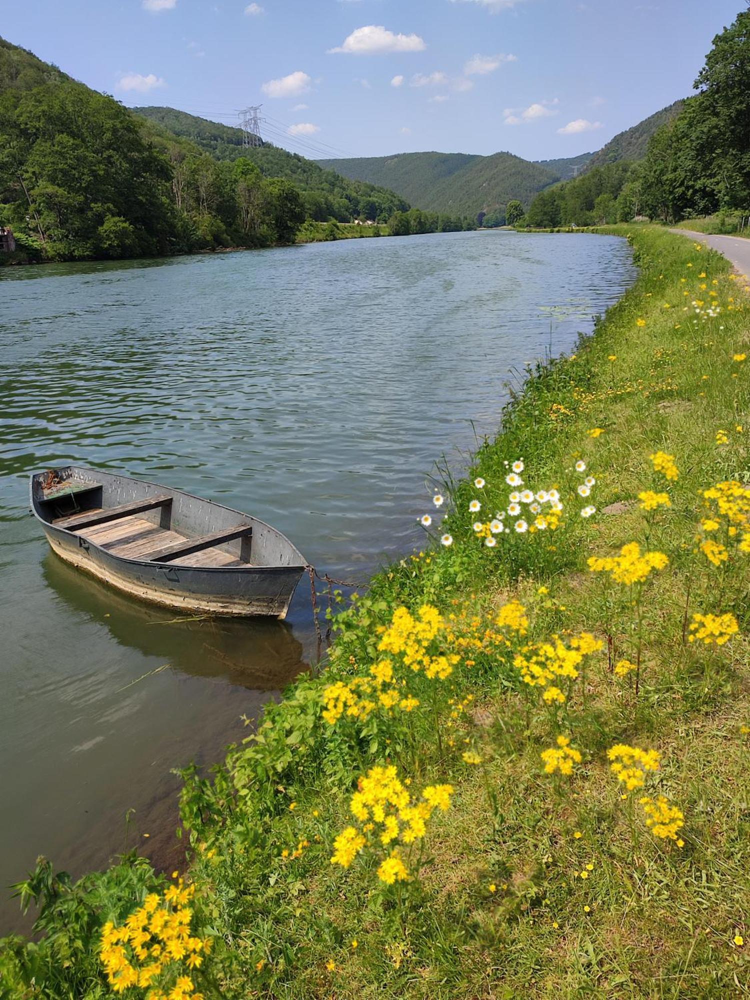 Entre Meuse Et Foret Revin  Ngoại thất bức ảnh